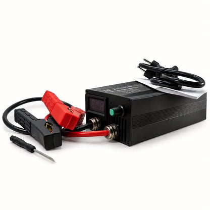 Зарядное устройство Днепр L 60 для LiFePO4 и Li-ion 12 В, фото 3